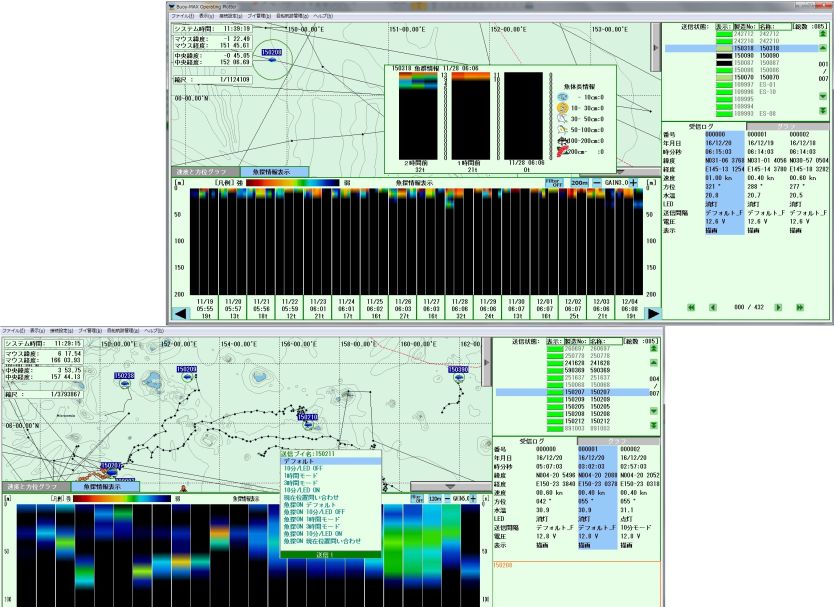 Satellite Buoy System